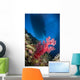 Red Soft Coral with Wall Decal