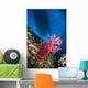 Red Soft Coral with Wall Decal