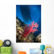 Red Soft Coral with Wall Decal