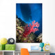 Red Soft Coral with Wall Decal