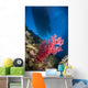 Red Soft Coral with Wall Decal