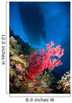 Red Soft Coral with Wall Decal