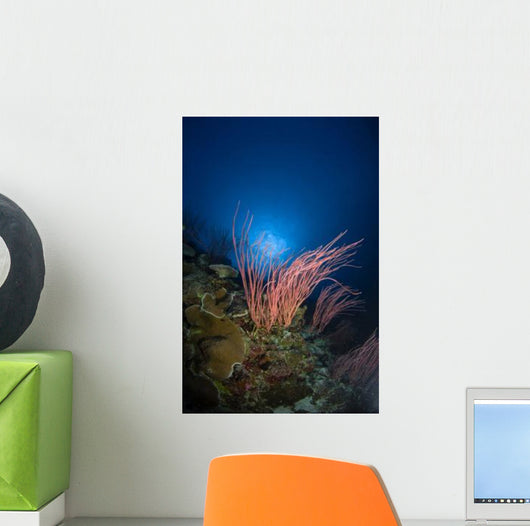 Sea Whips and Coral Wall Decal