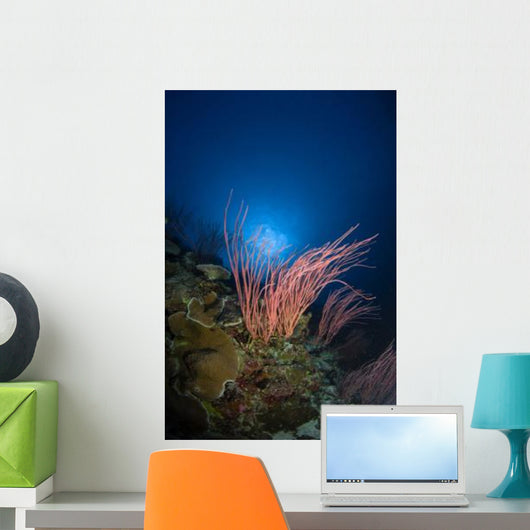 Sea Whips and Coral Wall Decal