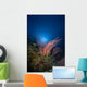 Sea Whips and Coral Wall Decal