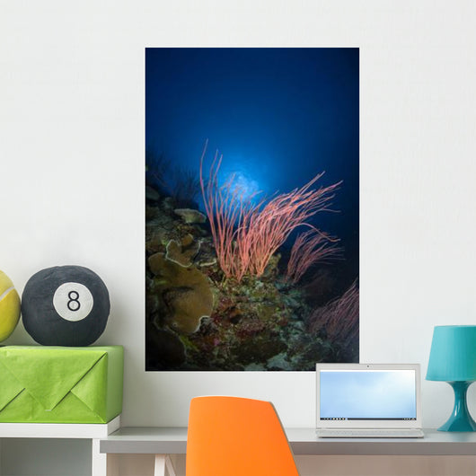 Sea Whips and Coral Wall Decal