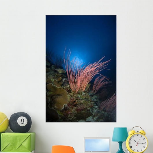 Sea Whips and Coral Wall Decal