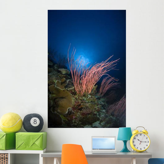 Sea Whips and Coral Wall Decal