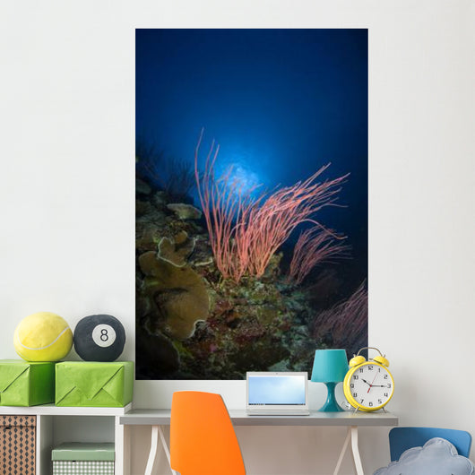 Sea Whips and Coral Wall Decal