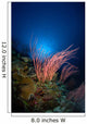 Sea Whips and Coral Wall Decal