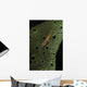 Goby Sponge Fiji Wall Decal