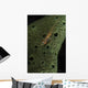 Goby Sponge Fiji Wall Decal