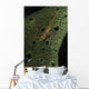 Goby Sponge Fiji Wall Decal