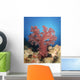 Red Soft Coral Australia Wall Decal