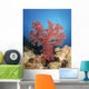 Red Soft Coral Australia Wall Decal