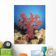Red Soft Coral Australia Wall Decal