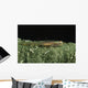 Hovering Goby Green Sponge Wall Decal
