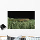 Hovering Goby Green Sponge Wall Decal