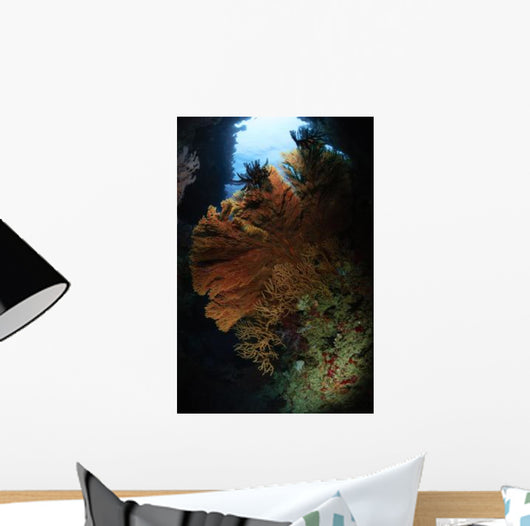 Sea Fans Fiji Wall Decal Design 3