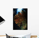 Sea Fans Fiji Wall Decal Design 3