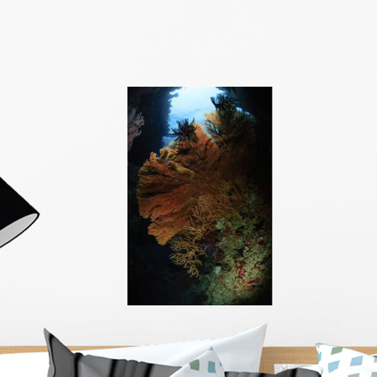 Sea Fans Fiji Wall Decal Design 3