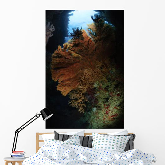 Sea Fans Fiji Wall Decal Design 3
