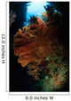Sea Fans Fiji Wall Decal Design 3