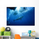Female Great White with Wall Decal