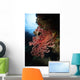 Soft Coral Fiji Wall Decal
