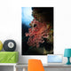 Soft Coral Fiji Wall Decal
