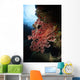 Soft Coral Fiji Wall Decal