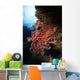 Soft Coral Fiji Wall Decal
