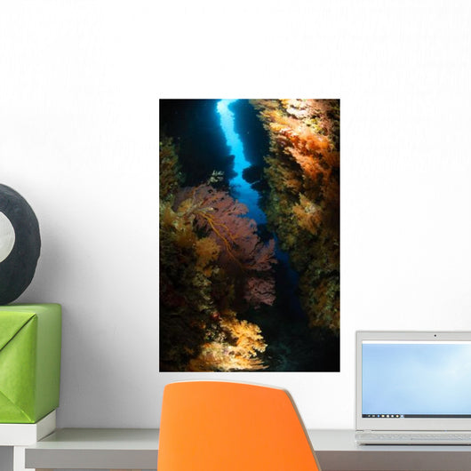 Sea Fans Fiji Wall Decal Design 2