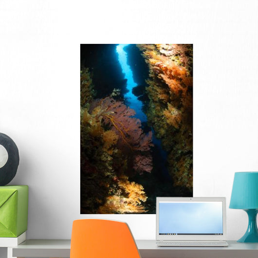 Sea Fans Fiji Wall Decal Design 2
