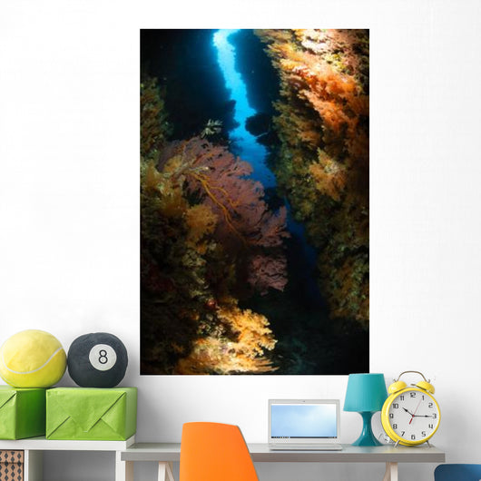 Sea Fans Fiji Wall Decal Design 2