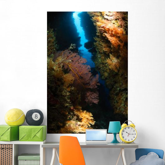 Sea Fans Fiji Wall Decal Design 2