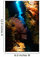 Sea Fans Fiji Wall Decal Design 2