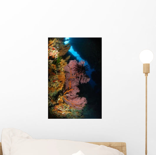 Sea Fans and Crinoid Wall Decal