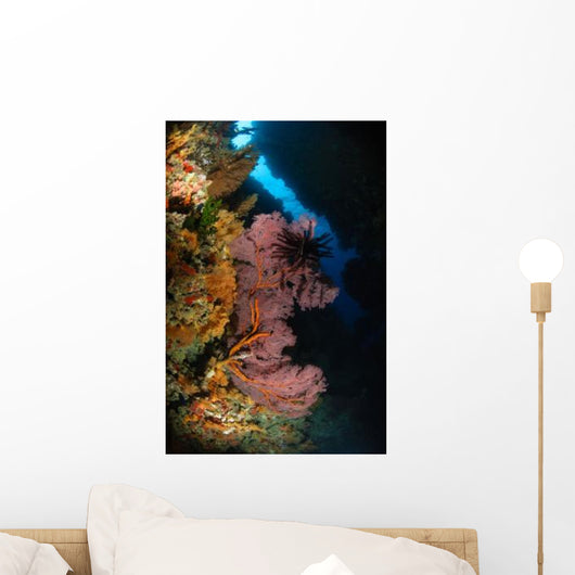 Sea Fans and Crinoid Wall Decal