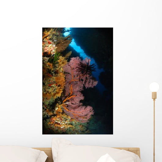 Sea Fans and Crinoid Wall Decal