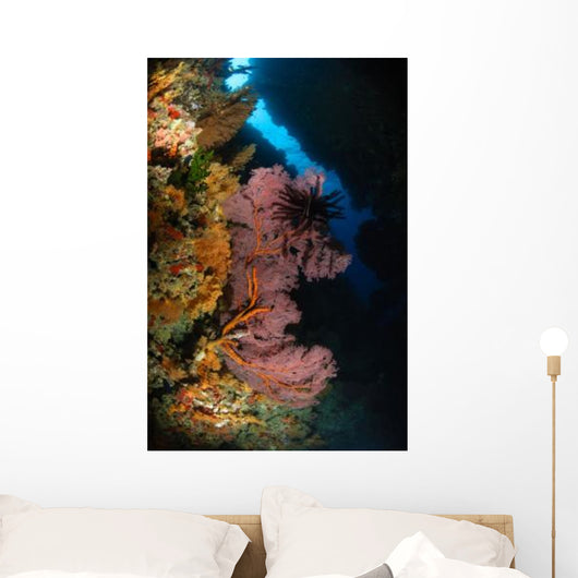 Sea Fans and Crinoid Wall Decal