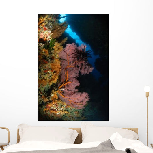 Sea Fans and Crinoid Wall Decal