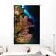 Sea Fans and Crinoid Wall Decal