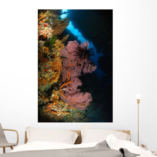 Sea Fans and Crinoid Wall Decal