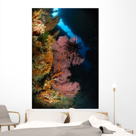 Sea Fans and Crinoid Wall Decal