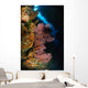 Sea Fans and Crinoid Wall Decal