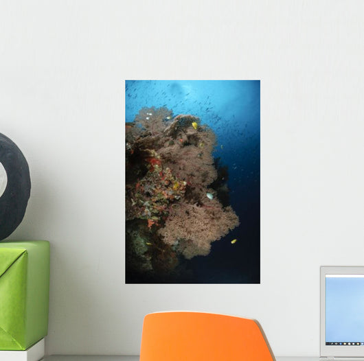 Sea Fans Fiji Wall Decal Design 1