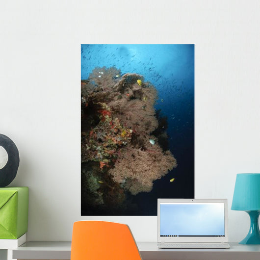 Sea Fans Fiji Wall Decal Design 1