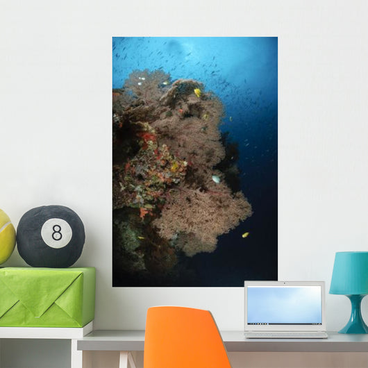 Sea Fans Fiji Wall Decal Design 1