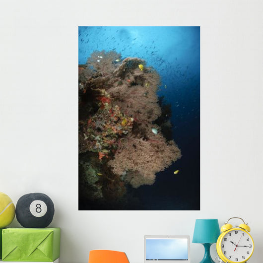 Sea Fans Fiji Wall Decal Design 1